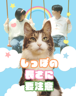 しっぽの長さに要注意