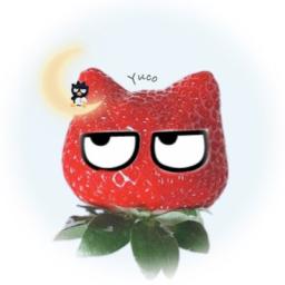 Yuco
