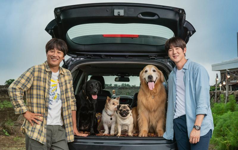 犬と人間の絆をハートフルに描いた『マイ・ハート・パピー』犬好き著名人から絶賛のコメント続々！