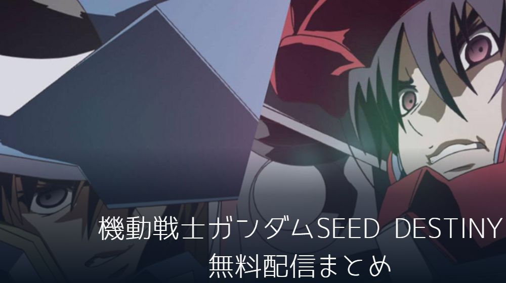 機動戦士ガンダムSEED DESTINY　配信