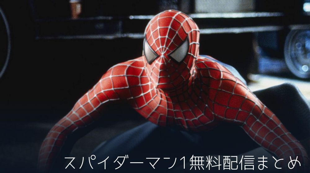 スパイダーマン1　配信