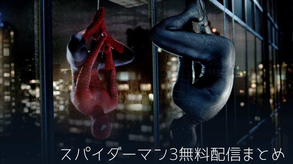 スパイダーマン3　配信