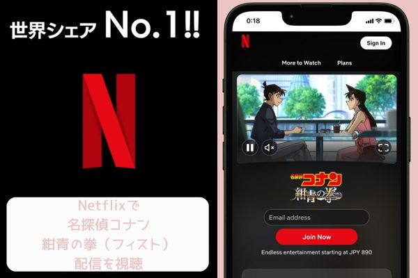 netflix 「名探偵コナン 紺青の拳(フィスト) 配信