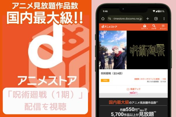 danime 呪術廻戦（1期） 配信