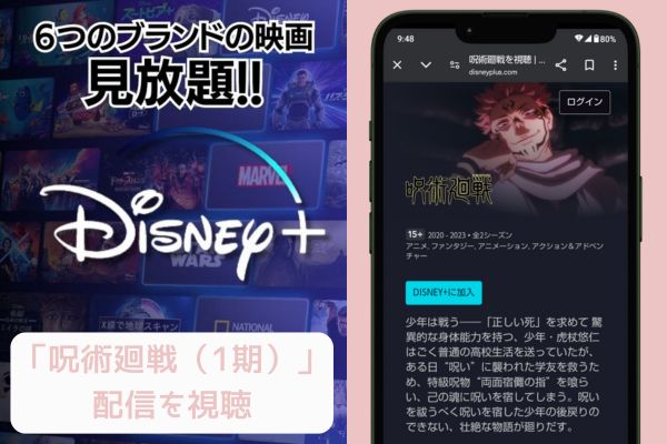 disney 呪術廻戦（1期） 配信