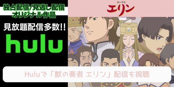 hulu 獣の奏者 エリン 配信