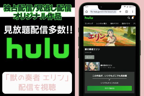 hulu 獣の奏者 エリン 配信