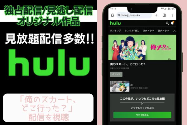 Hulu 俺のスカート、どこ行った？ 配信