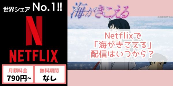 Netflix 海がきこえる 配信