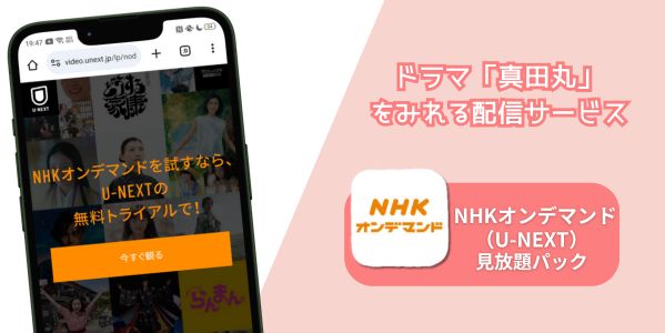 真田丸 配信