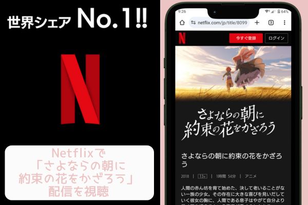 Netflix さよならの朝に約束の花をかざろう 配信