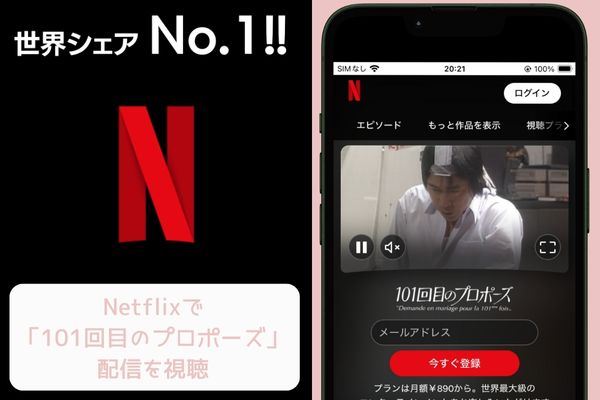 netflix 101回目のプロポーズ 配信