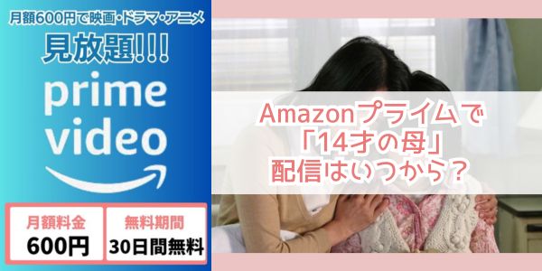 14才の母 amazon