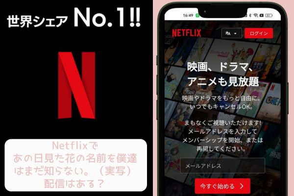 netflix あの日見た花の名前を僕達はまだ知らない。（実写）