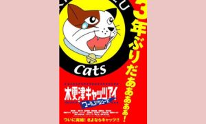 木更津キャッツアイ　ワールドシリーズ 配信