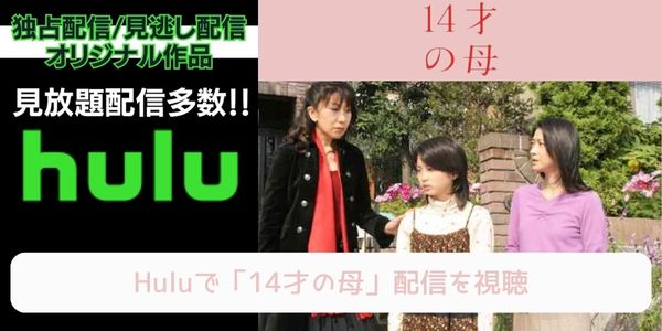 hulu 14才の母 配信