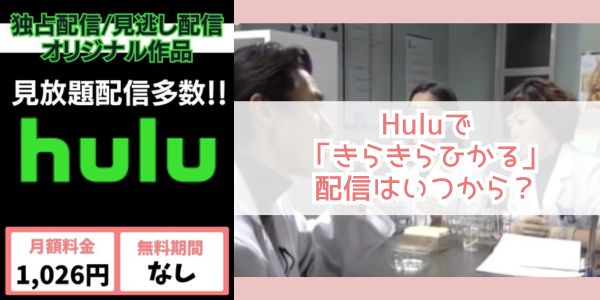 きらきらひかる hulu