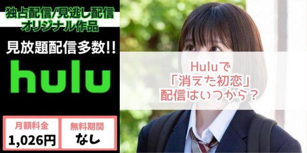 Hulu 消えた初恋 配信