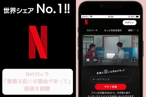 netflix 着飾る恋には理由があって 配信