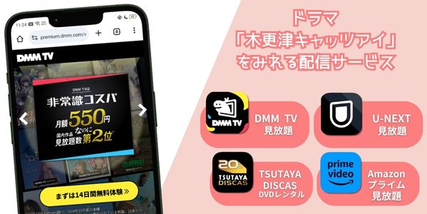 木更津キャッツアイ 配信