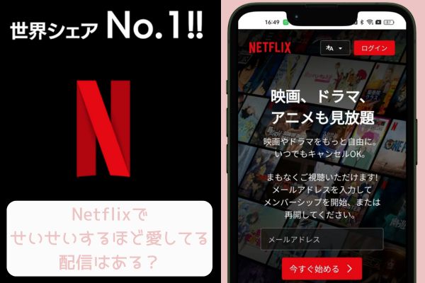 netflix せいせいするほど愛してる