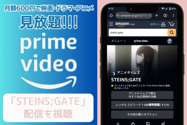 amazonプライム STEINS;GATE 配信