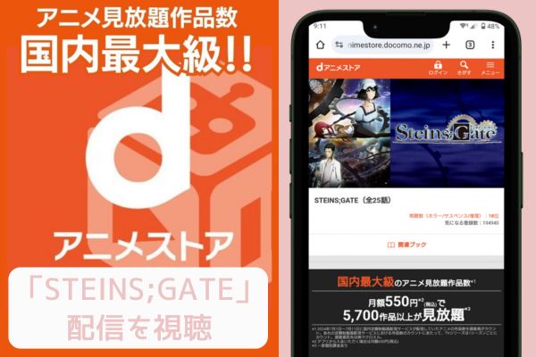 dアニメストア STEINS;GATE 配信