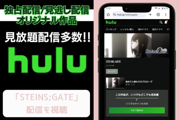 hulu STEINS;GATE 配信