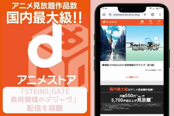 dアニメストア STEINS;GATE 負荷領域のデジャヴ 配信