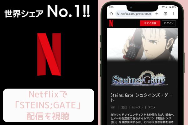 netflix STEINS;GATE 配信