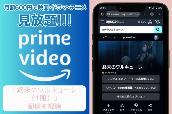 amazonプライム 終末のワルキューレ（1期） 配信