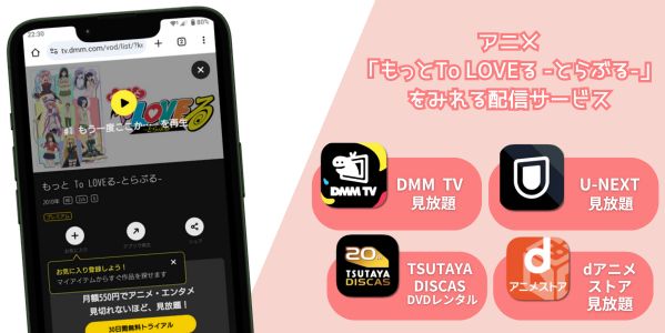 もっとTo LOVEる -とらぶる- 配信