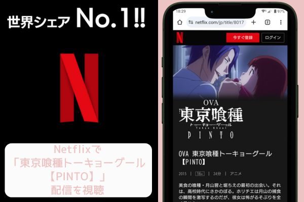 netflix 東京喰種トーキョーグール【PINTO】 配信