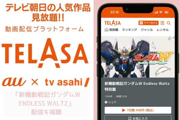 TELASA 新機動戦記ガンダムW Endless Waltz 特別篇 配信