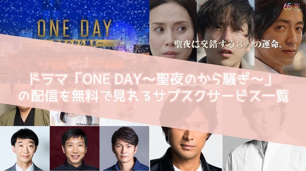 ドラマ ONE DAY～聖夜のから騒ぎ～  配信 サブスクサービス