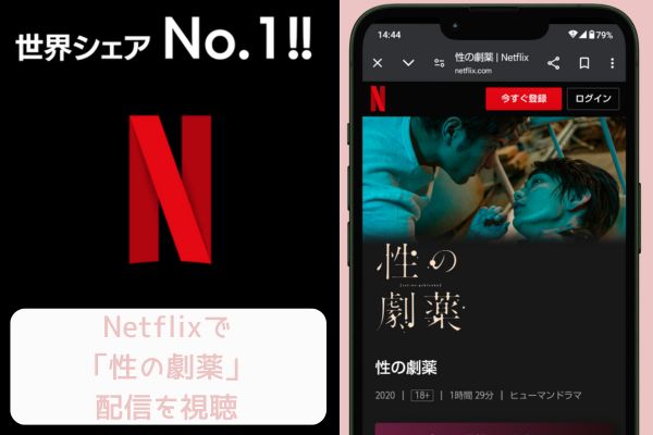 netflix 性の劇薬 配信