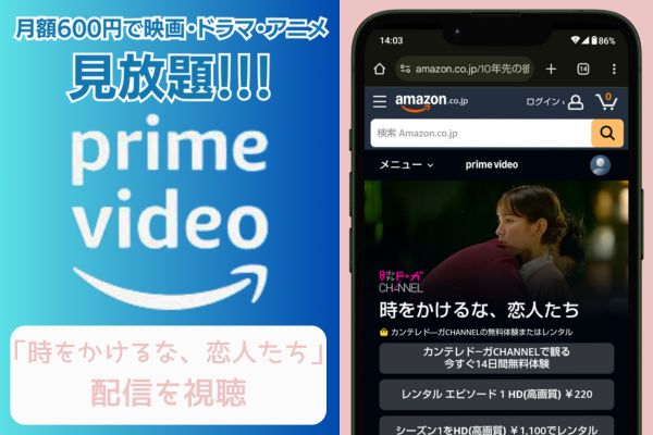 amazon 時をかけるな、恋人たち 配信