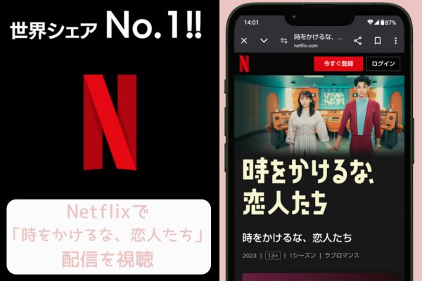 netflix 時をかけるな、恋人たち 配信