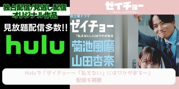 ゼイチョー～「払えない」にはワケがある～ hulu