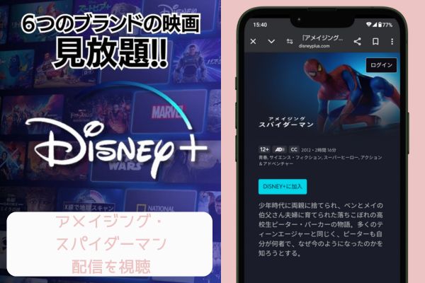 disney アメイジング・スパイダーマン 配信