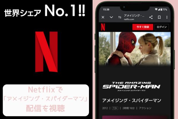 netflix アメイジング・スパイダーマン 配信