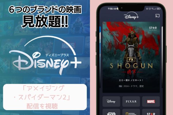 アメイジング・スパイダーマン2 disney 配信