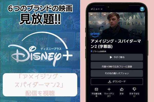 アメイジング・スパイダーマン2 disney 配信