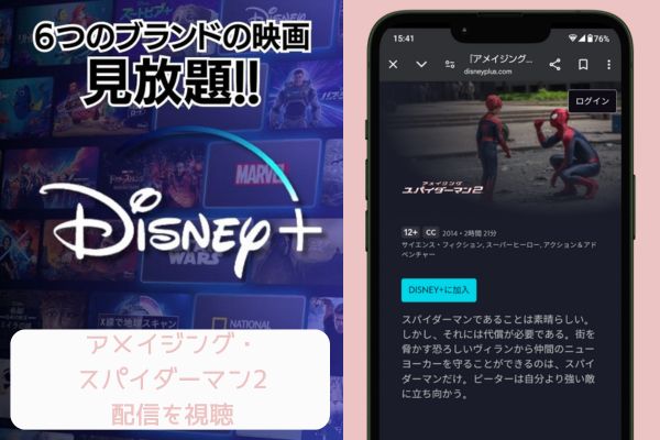 disney アメイジング・スパイダーマン2 配信