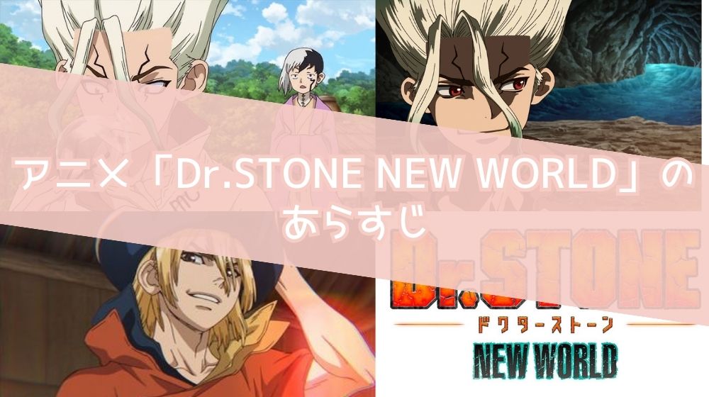 Dr.STONE NEW WORLD  あらすじ