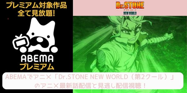 Dr.STONE NEW WORLD (3期 第2クール) abema 配信