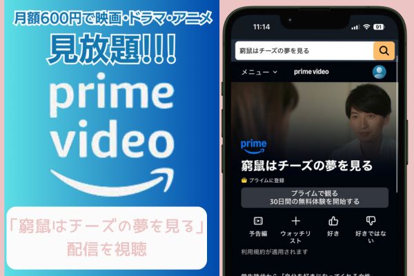 Amazon 窮鼠はチーズの夢を見る 配信