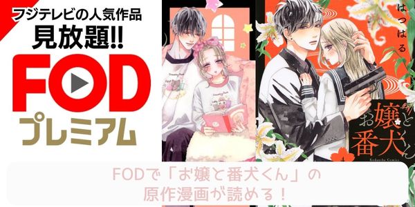 fod お嬢と番犬くん  配信 原作