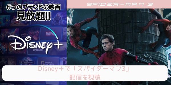 disney+ スパイダーマン3 配信