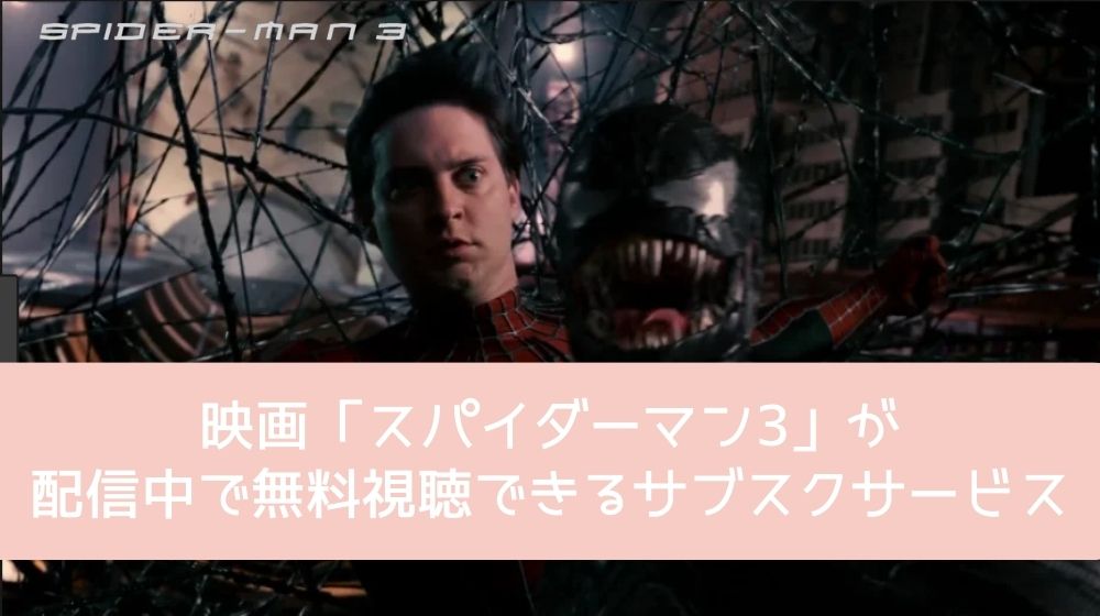 スパイダーマン3 配信